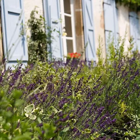 Domaine La Reveille Bed & Breakfast Dore-lʼÉglise